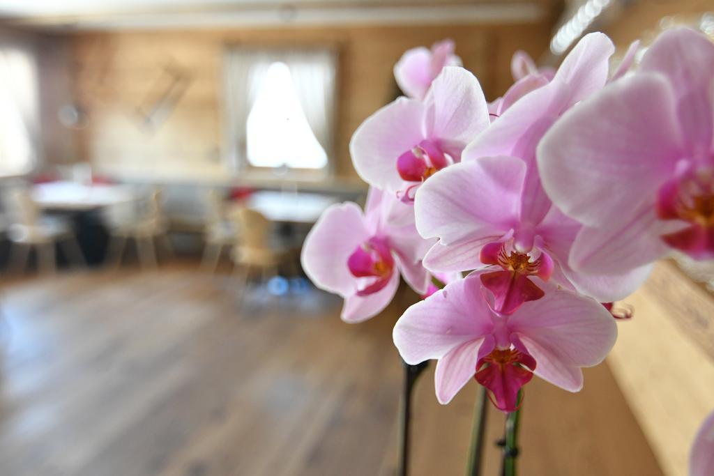 Hotel Kristall Maranza Eksteriør billede